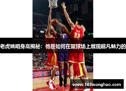 老虎姚明身高揭秘：他是如何在篮球场上展现超凡魅力的